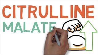 Citrulline Malate : What does Citrulline Malate do?