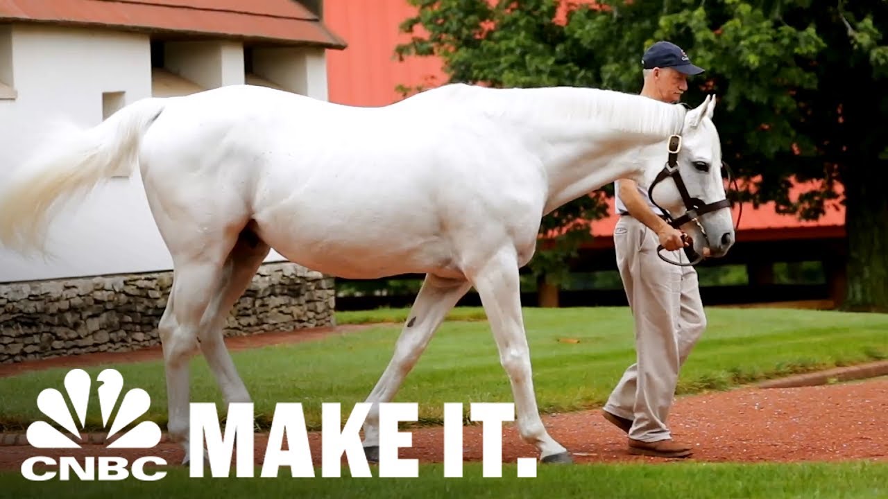 America's Most Valuable Stallion Making Over $35 Million In Retirement | CNBC Make It.