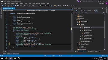 04. Overriding Columns Title and Width in Serene