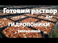 Секретный раствор для гидропоники тюльпанов. Наводим вместе