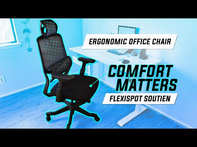 Flexispot BS8 Office Chair Review
