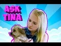 ВОПРОС-ОТВЕТ Ask Tina Mayer | Моя собака йорк | Смотрю Соболева, Шпагину ? | Пою на разных языках