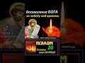 Восхваление Бога
