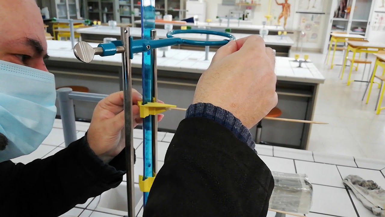 Esperienza di laboratorio-Verifica della legge di Hooke(il comportamento elastico di una molla)pt.2