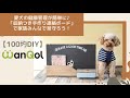 【簡単100均DIY】愛犬の健康管理が簡単に♪「収納つき手作り連絡ボード」で家族みんなで見守ろう！