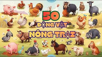 50 Bí Mật Về ĐỘNG VẬT NÔNG TRẠI Mà Bạn Chưa Biết!