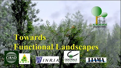 Towards Functional Landscapes (1992-2008)