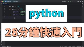 快速上手 Python！28分鐘學完程式核心概念(28分鐘精華版)😍