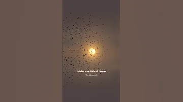 همه اینها هم از محبت کردن زیادی میاد ساب کن حرف دلتو تو کانالم میزنم قول میدم بت 