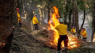 Prescribed Fire Protects Communities and Restores Parklands