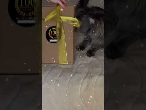 ПЕРША НАГОРОДА ПЕРША НАГОРОДА