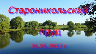 Староникольский пруд.  26 июня 2022 г.