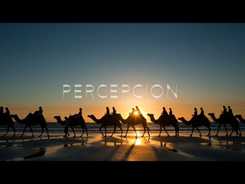 Vídeo: Percepció Conceptual I No Conceptual