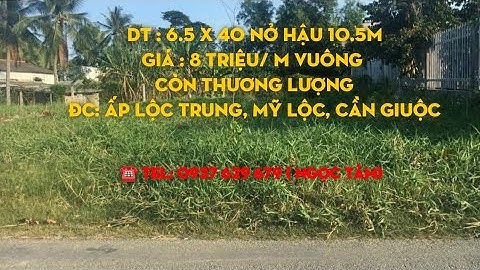 333m vuông thổ cư mặt tiền nhựa 6m Dt: 6.5x40 nở hậu 10.5 Lộc Trung Mỹ Lộc Cần Giuộc giá 8 triệu/m