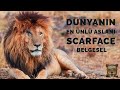 DÜNYANIN EN ÜNLÜ ASLANI SCARFACE DÜNYANIN EN ÜNLÜ ASLANI SCARFACE