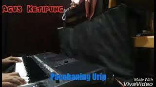 Pacobaning Urip tanpa kendang karaoke keyboard version yamaha s770 untuk para kendangers