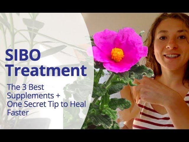 SIBO Treatment - The 3 Best Supplements to Speed Up Your Healing