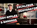 Excalibur Dehydrator Review: How to Apples and Bananas