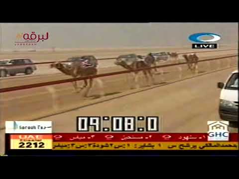 ديرة ل هجن العاصفة ختامي الوثبة 24 3 2008 كأس الثنايا بكار مفتوح 12 32 7