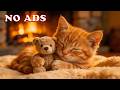 12 Hours Of Sleep Music for Cats 🐱 Soft Sounds for Stress Relief &amp; Peaceful Night Sleep