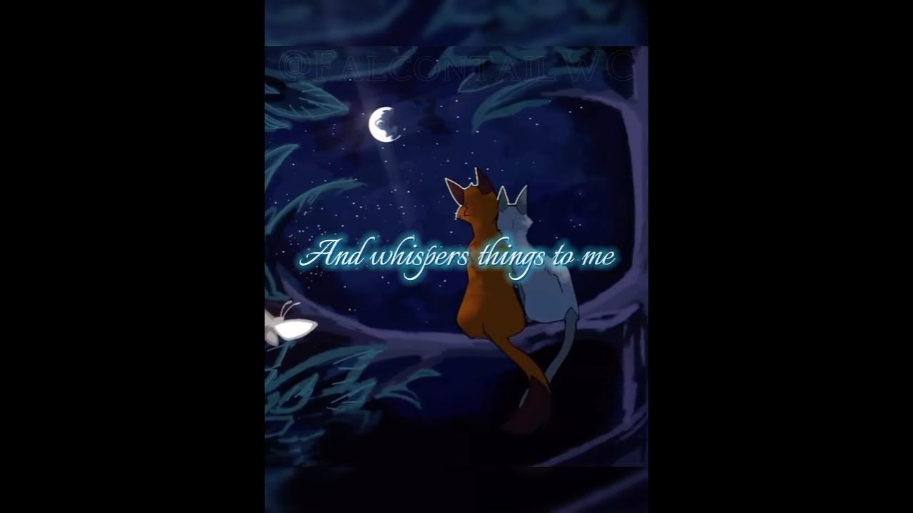 Bluestar x Oakheart // Warrior Cats edit // Ava FAMY // #warriorcats #warriors #edit Bluestar x Oakheart // Warrior Cats edit // Ava FAMY // #warriorcats #warriors #edit