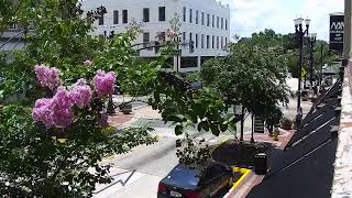 LIVE Downtown DeLand | South Woodland Blvd | 2026-07-29 12 PM ET