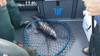Spring Chinook fishing near Tillamook Oregon