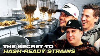 Why Jar Tech Decides Everything in Hash Making