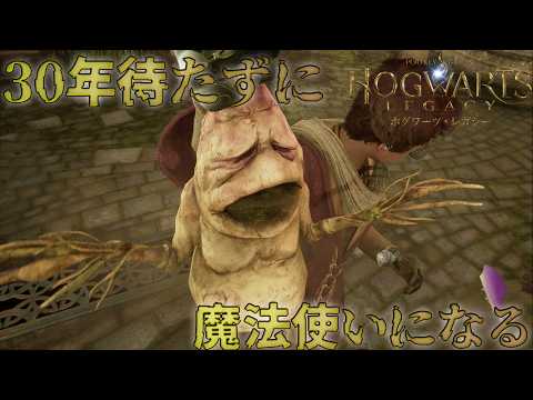 【ホグワーツ・レガシー】この素晴らしき魔法世界で青春を【アラーニア エグズメイ】#3