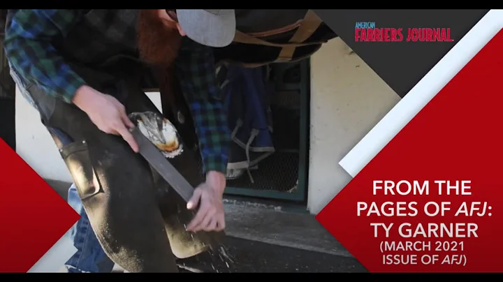 Shoeing Sport Horses in Ocala with Ty Garner