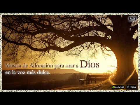Hermosas Canciones Para Orar Y Alabar A Dios En La Voz Mas Dulce Musica Cristiana De Adoracion Youtube