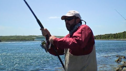 Bass Action Heroes: Cape Cod, MA