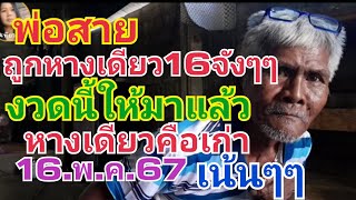 พ่อสาย.ถูกหางเดียว16จังๆๆงวดนี้ให้มาแล้ว.หางเดียวคือเก่า16.พ.ค.67