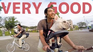 犬と一緒に自転車乗るならこれ最高なんじゃない【Buddyrider】Dog Bicycle Seat