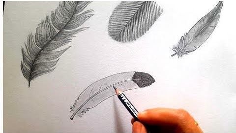 How to draw different types of feathers 🪶 step-by-step  / tutorial