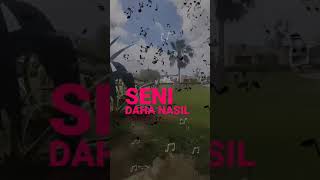 Ziynet Sali - Daha Nasıl Sevebilirim Resimi