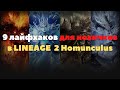 9 лайфхаков для новичков в Lineage 2 Homunculus