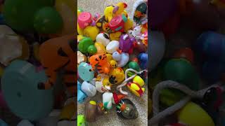 rubber ducks 100 pack by valenlyra unique bath toys for kids jeeps