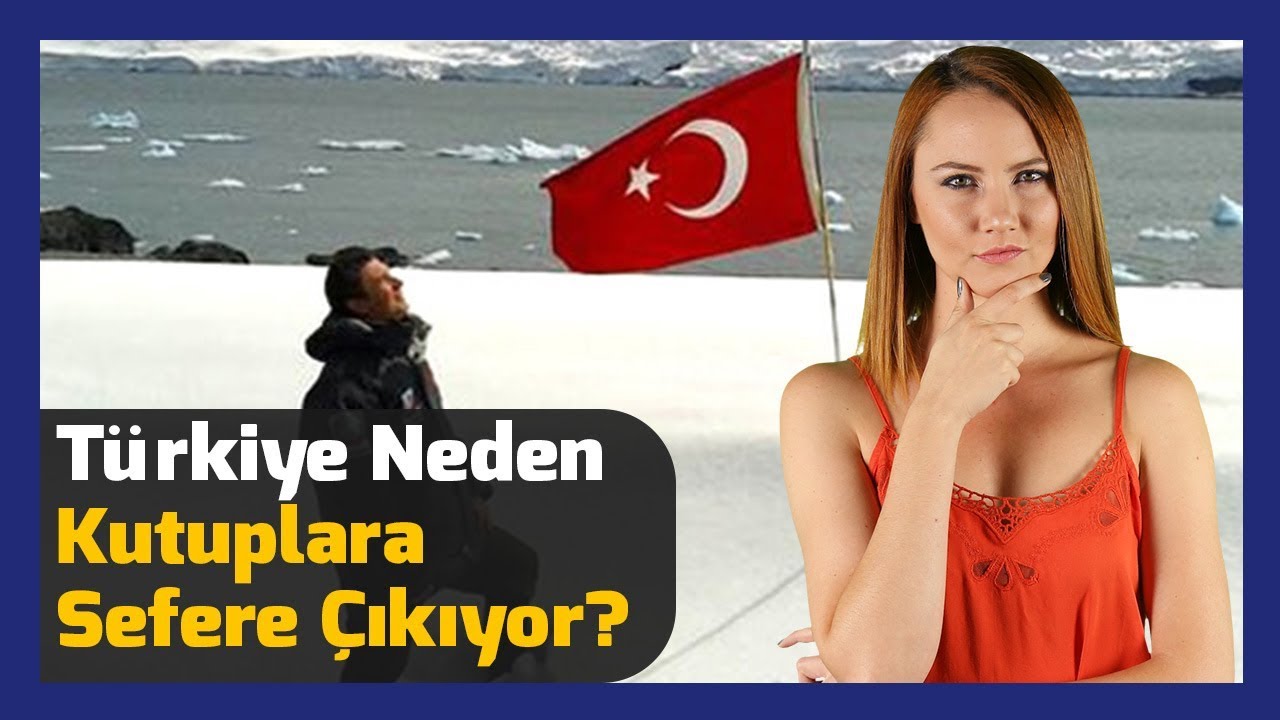 Arktik Aslında Ne? Arktik Aslında Ne?