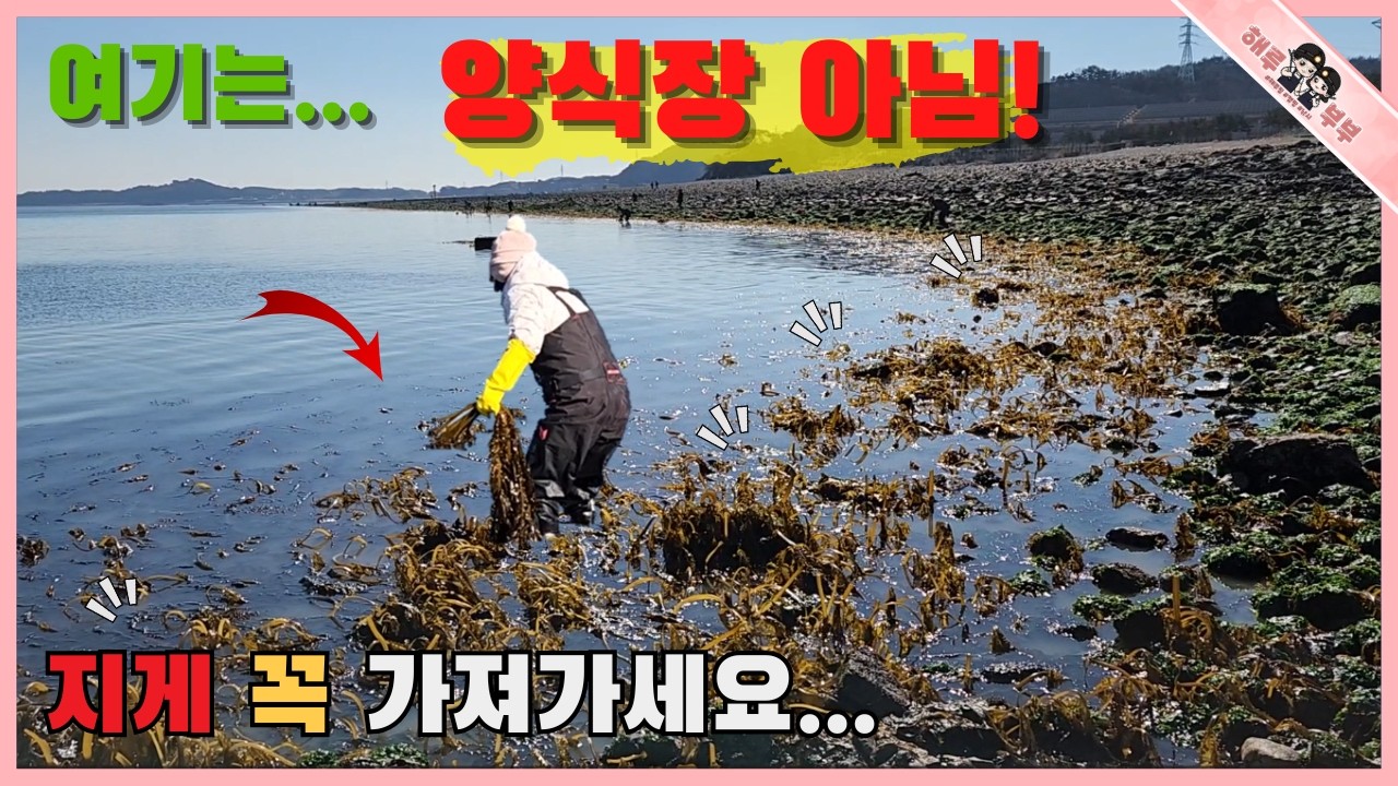 당진권 해루질 갈 때는 지게 지고 가야 후회하지 않아요