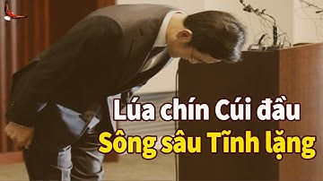 Lúa chín Cúi đầu sông sâu Tĩnh lặng Phẩm chất đại Trí tuệ - DCCĐ