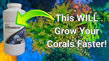 How To: Kalkwasser (It