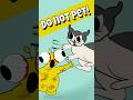 Do NOT Pet This Cat! 😂🐾