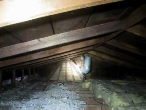 Attic insulation asbestos