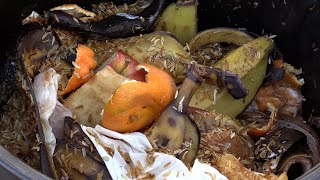 Food-scrap recycling starts Jan. 1, but most San Diego cities aren't ready image