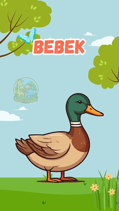 Suara bebek 🦆🦆🦆suara hewan lucu #safariedukasi #animals #fyp #hewanternak #suarahewan