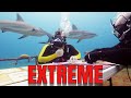 Extreme board gaming with sharks  above board