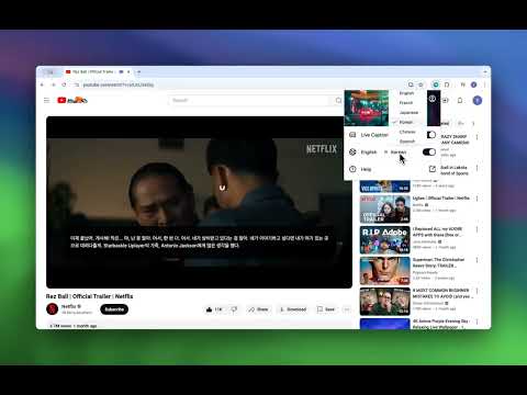 Vi Subtitle: Add Live Captions to Any Webpage video preview 2