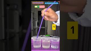 rahasia agar gelembung bisa besar dan tahan lama #diy #scienceexperiment #curiousmind #bubble