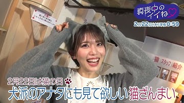 【予告】『真夜中のイイね♡』#46　2023年2月22日(水)深夜、放送！